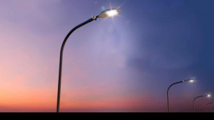 Elettricit&agrave; in Italia pi&ugrave; cara che in Europa, gas uguale