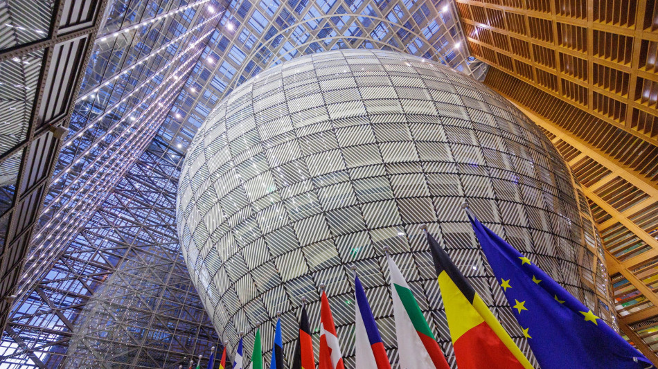  L'Ue coordina una risposta su hantavirus, attivato meccanismo protezione civile 