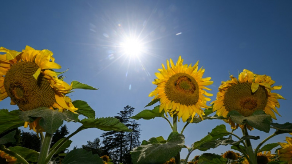 DAK-Report: Frauen leiden doppelt so häufig unter Sommerhitze wie Männer