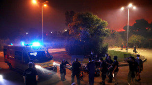 Incendi Grecia, evacuate 11 citt&agrave; e villaggi vicino Atene