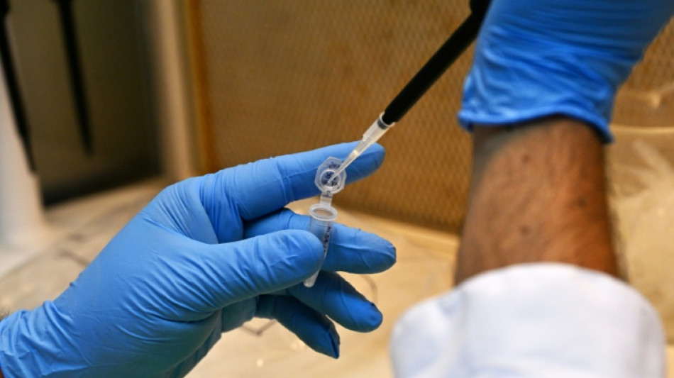  La influenza&nbsp;aviar&nbsp;avanza en la Ant&aacute;rtida y amenaza a su fauna nativa 