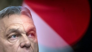 Orban gratuliert AfD nach Votum f&uuml;r Merz-Antrag - Parteichefin Weidel erfreut