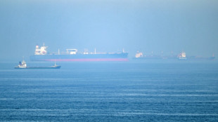 Attack on ship in Hormuz leads UN to halt evacuation plan for trapped sailors