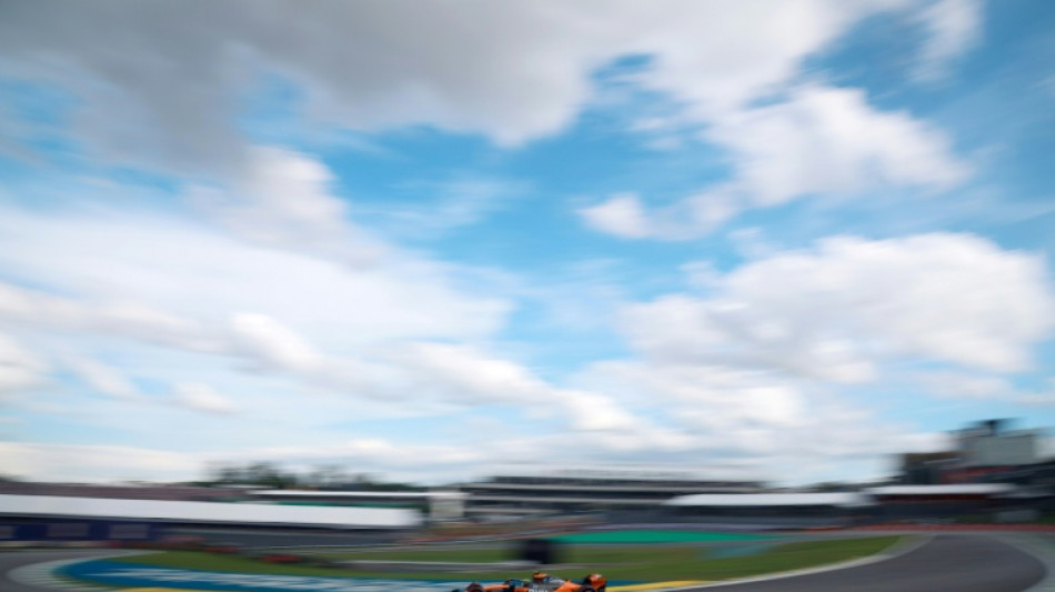 Norris survives a slip to seize Sao Paulo pole