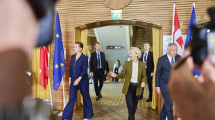 'Doubts' over US support boost need for EU cooperation, Zelensky says