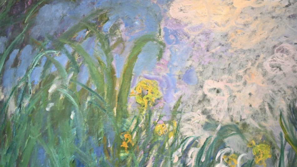  Monet's 'Iris' fetches 50 mn euros at Paris auction 