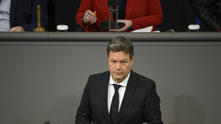 Allemagne: l'&eacute;conomie a cal&eacute; en fin d'ann&eacute;e, recul du PIB de 0,2%