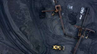 Trump aprueba la asociaci&oacute;n de la sider&uacute;rgica US Steel con su rival japonesa Nippon Steel