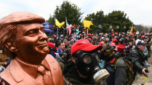 Invasores de 2021 agora querem trabalhar no Capit&oacute;lio