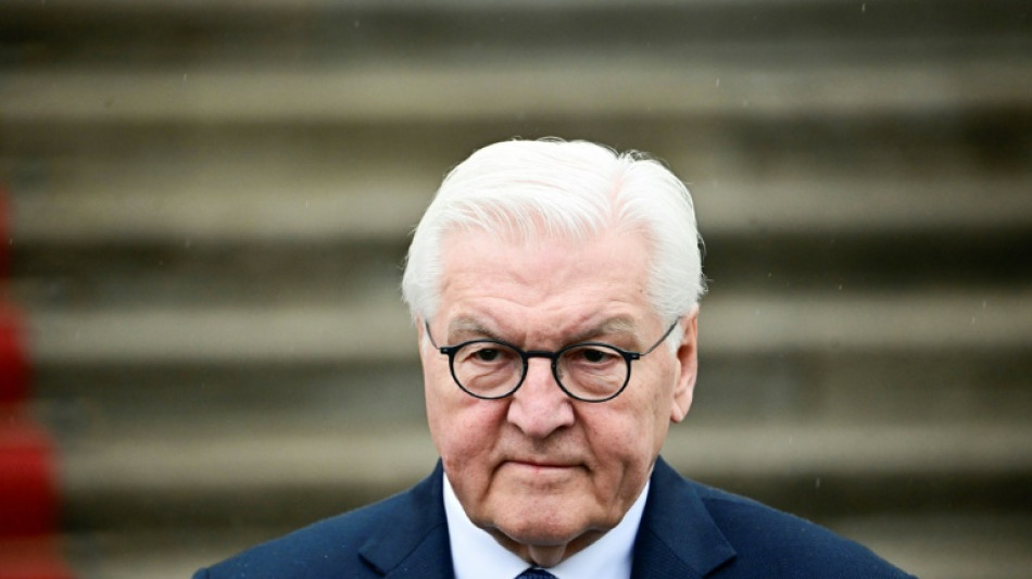  Steinmeier stellt Initiative zu bundesweitem "Ehrentag" vor 