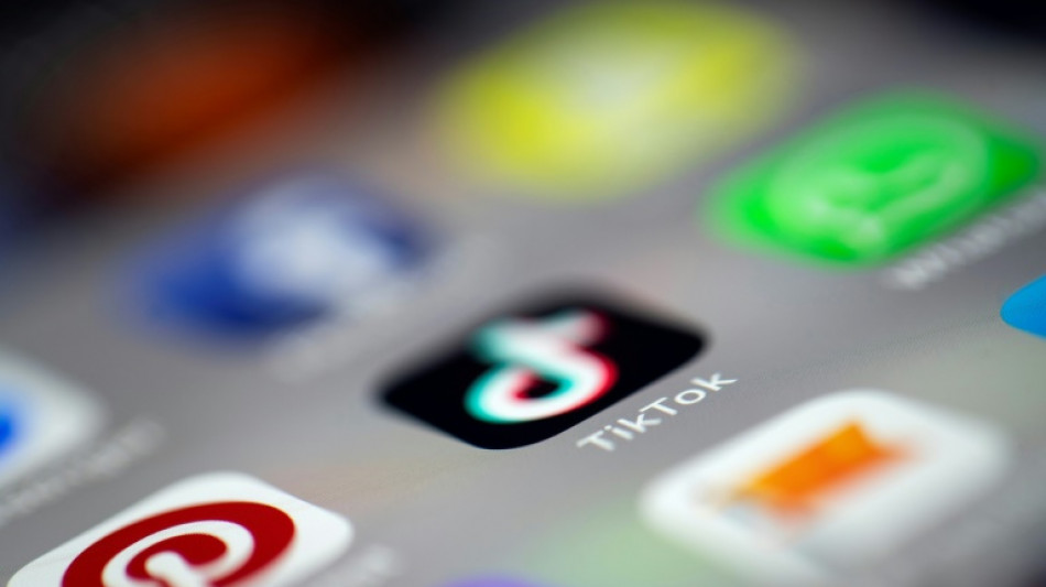 Albania cerrar&aacute; el acceso a TikTok durante al menos un a&ntilde;o