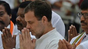 Inde: Rahul Gandhi en marche pour raviver son parti en d&eacute;clin