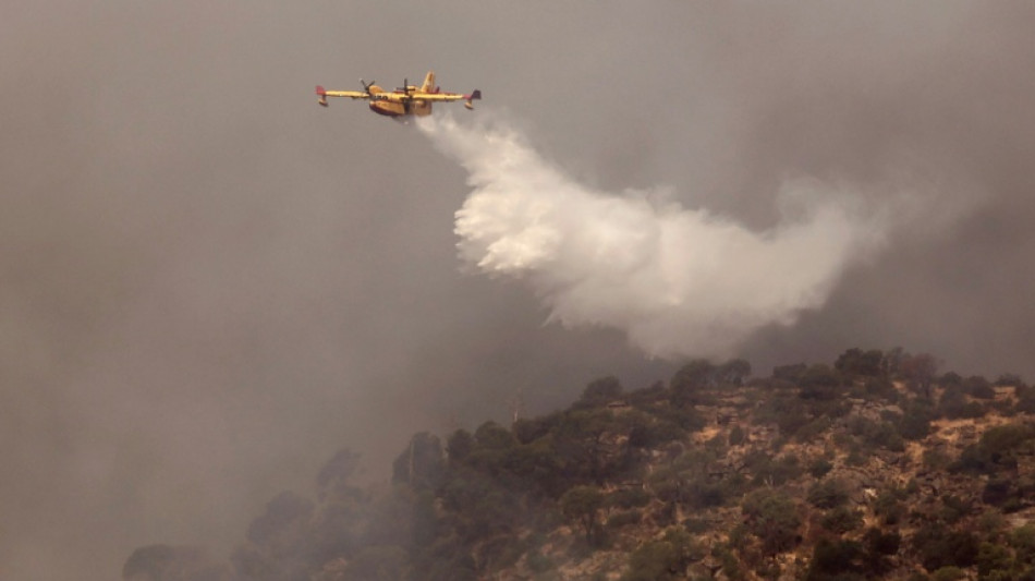  Spanish wildfires intrude on holidaying foreign visitors 