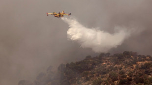 Spanish wildfires intrude on holidaying foreign visitors