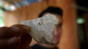 Carteles mexicanos: la mano "invisible" que mueve el mercado de la coca&iacute;na en Colombia