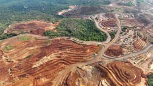 Nickel mining threatens Indonesia coral haven, NGOs warn