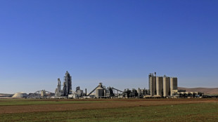 Un tribunal franc&eacute;s confirma "complicidad con cr&iacute;menes contra la humanidad" de la cementera Lafarge