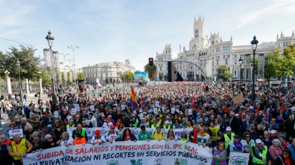 Espagne: &agrave; Madrid, des milliers de manifestants pour d&eacute;fendre les retraites avant les &eacute;lections 