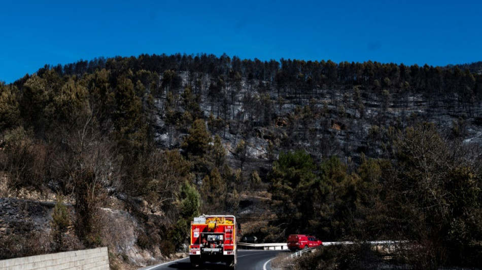 Estabilizado el gran incendio que quem&oacute; miles de hect&aacute;reas en oeste de Espa&ntilde;a