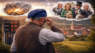 Alemania: La crisis del combustible y el a&ntilde;o electoral 2026