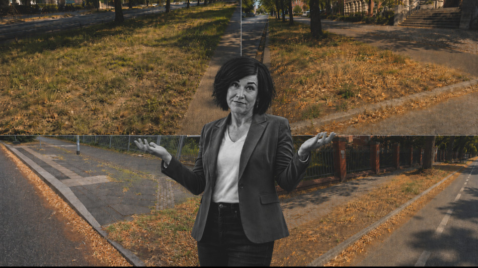  Noosha Aubel, Potsdam, verwahrloste Gr&uuml;nfl&auml;chen und marode Stra&szlig;en: Der B&uuml;rger als zahlender Michel? 